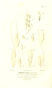 n271_w1150