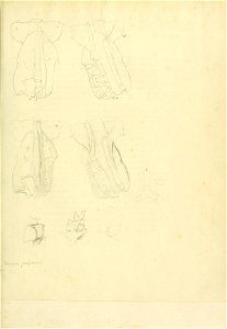 n16_w1150