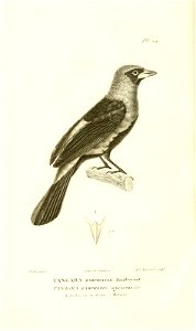 n125_w1150