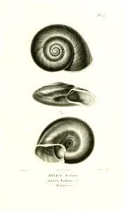 n56_w1150