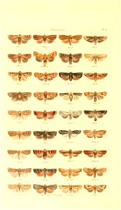 n123_w1150