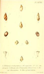 n484_w1150