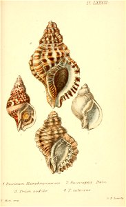 n454_w1150