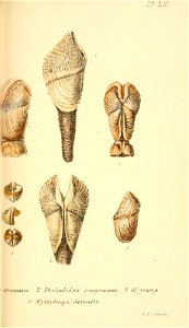 n394_w1150