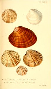 n364_w1150