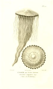 n107_w1150