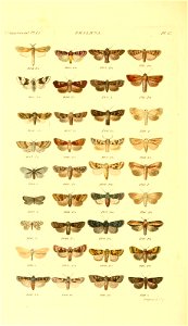 n507_w1150