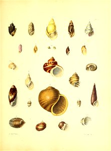 n120_w1150