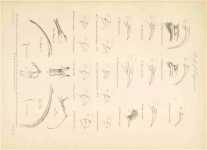 n174_w1150
