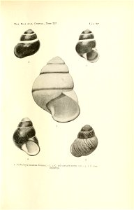 n188_w1150