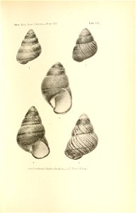 n128_w1150