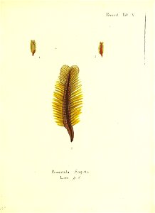 n250_w1150