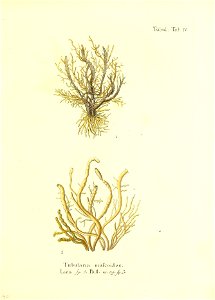 n190_w1150
