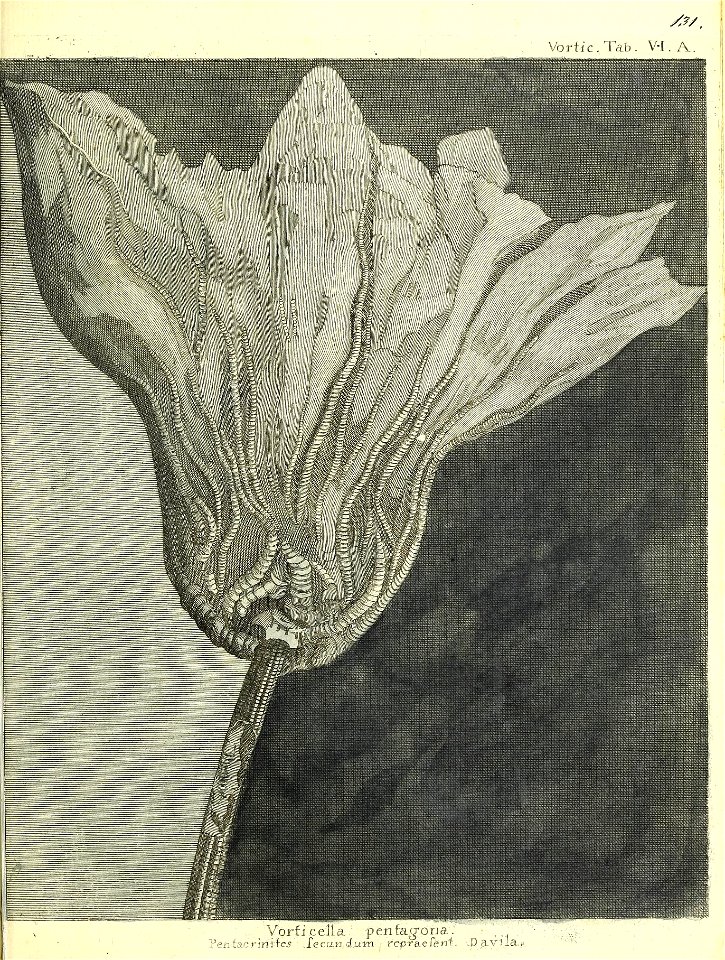 n264_w1150