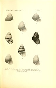 n214_w1150