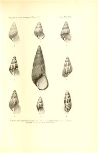n184_w1150