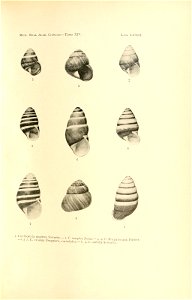 n154_w1150