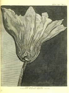 n276_w1150