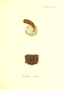 n216_w1150