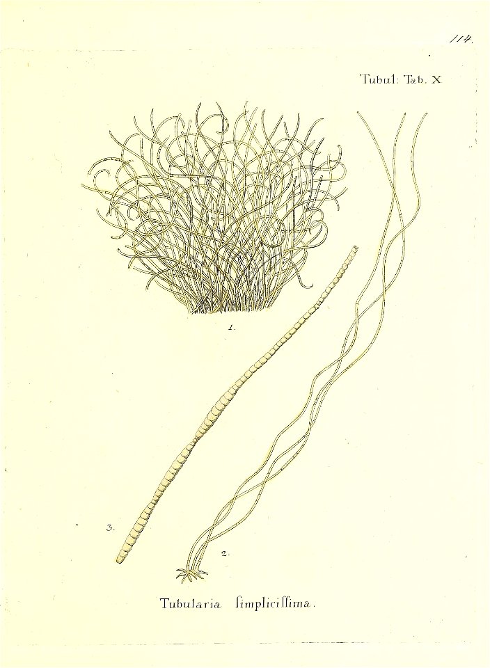 n230_w1150