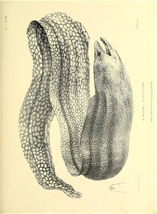 n210_w1150