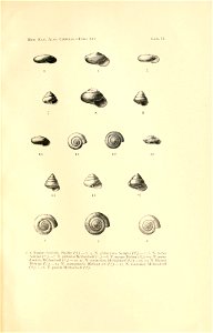n12_w1150