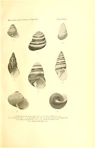 n362_w1150
