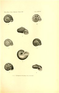 n302_w1150
