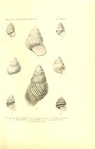 n242_w1150