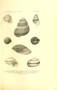 n270_w1150