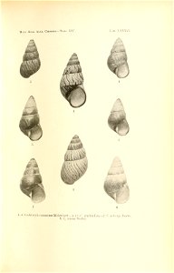 n180_w1150
