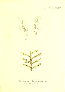 n182_w1150