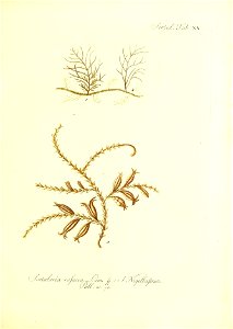 n152_w1150