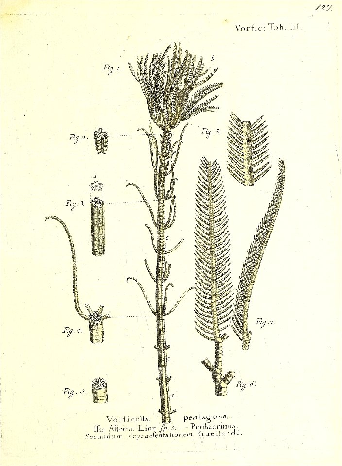 n256_w1150