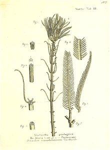 n256_w1150