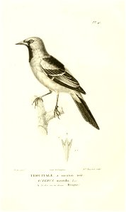 n193_w1150
