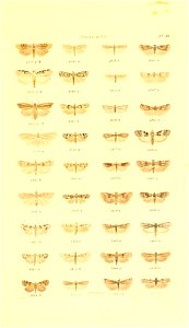 n428_w1150