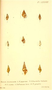 n464_w1150