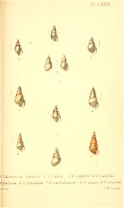 n434_w1150