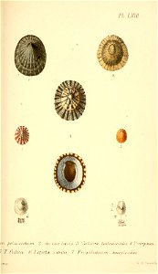 n404_w1150