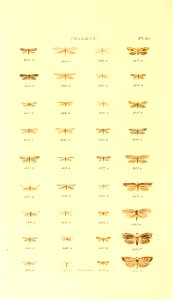 n417_w1150