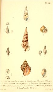 n492_w1150