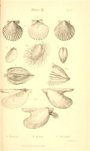 n490_w1150