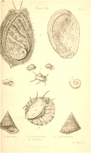 n416_w1150
