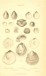 n488_w1150