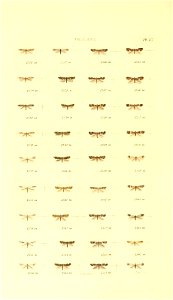 n399_w1150