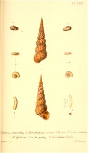 n428_w1150