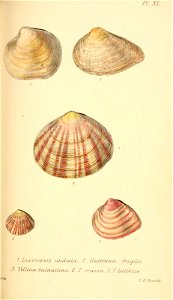n368_w1150