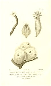 n253_w1150