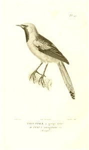 n117_w1150